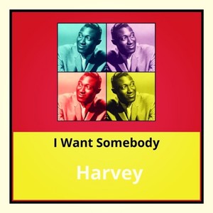 I Want Somebody