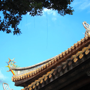 少林