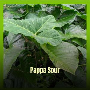 Pappa Sour