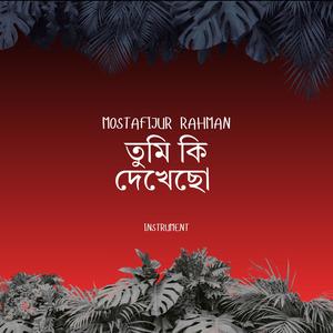 তুমি কি দেখছো নিল আকাশে সাদা কালো কত মেঘ হাসে