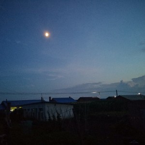 昭施浮华 - 撕夜