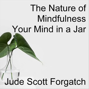 The Nature of Mindfulness Your Mind in a Jar