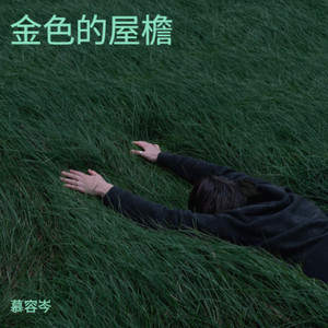 不能嫁给杂草根封面