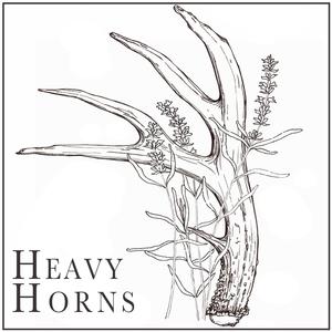Heavy Horns