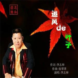 李志和 - 追风的叶子 (伴奏)