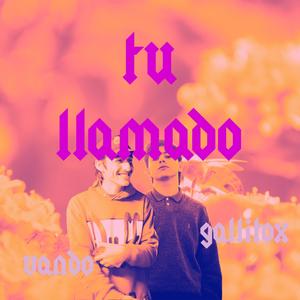 Tu llamado (feat. Vando) [Explicit]