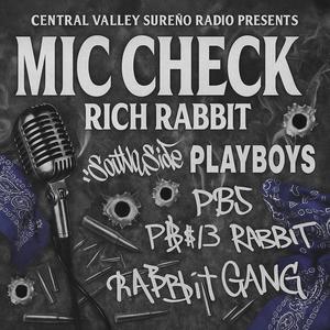 Mic Check (feat. Rich Rabbit) (Explicit)