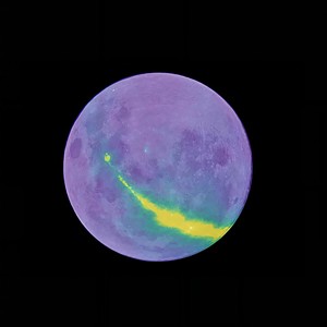 PUMA (Single Version)