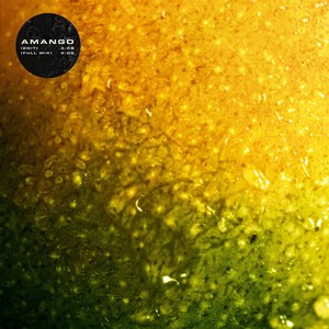 Plage 84 - Amango (Edit)