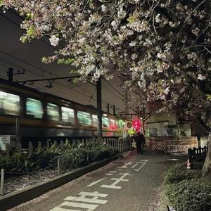 falling down (Explicit)