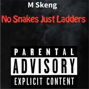 No Snakes Just Ladders (Explicit)