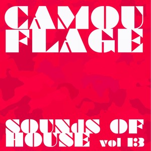 Camouflage Sounds of House, Vol.6