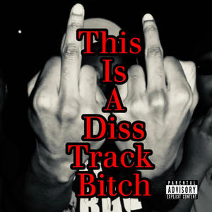 This Is A Diss Track ***** (Explicit)