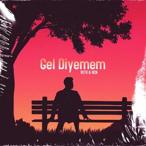 Gel Diyemem (feat. Veto) [Explicit]