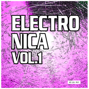 Electronica, Vol. 1