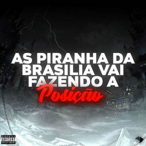 AS PIRANHA DA BRASILIA VAI FAZENDO A POSIÇÃO (Explicit)