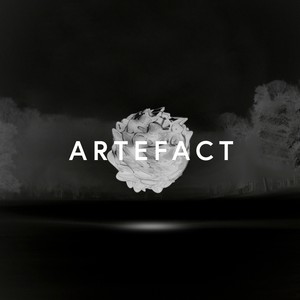 Artefact (Remixes)