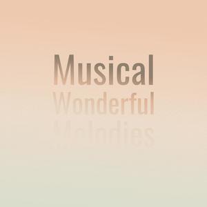 Musical Wonderful Melodies