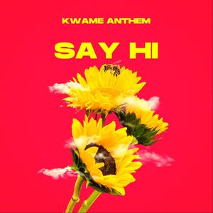Say Hi