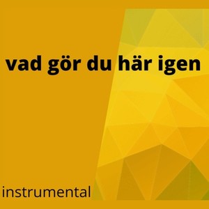 Vad gör du här igen (Instrumental)