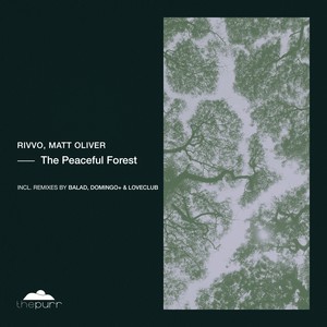 The Peaceful Forest (Balad Remix)