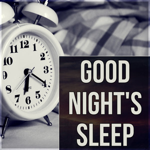 White Noise by Night