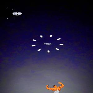 Flex (Explicit)