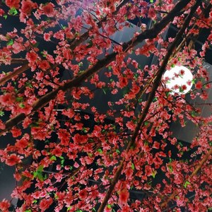 Three Chen One Memory (Inst.)