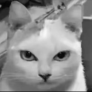 Okay (feat. +++TURTLEXGUY+++ & Jor6an) (Explicit)