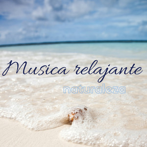 Meditacion budista (Lluvia primavera)