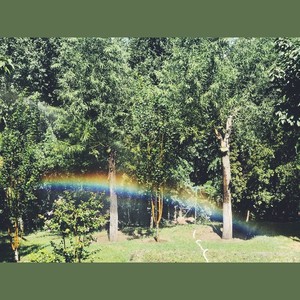 成全（男|吉他）