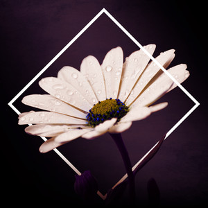 A la orilla de la fiesta (Instrumental)