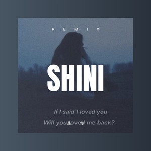 爱一个人为什么那么难 (Remix)