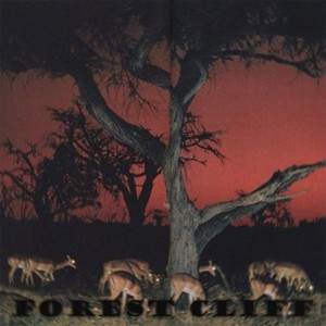 Forest Cliff (Explicit)