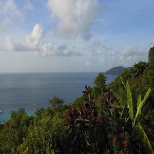 200 Shots(feat. Fendi Finesse) (Explicit)