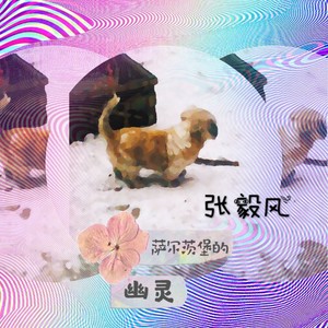 萨尔茨堡的幽灵