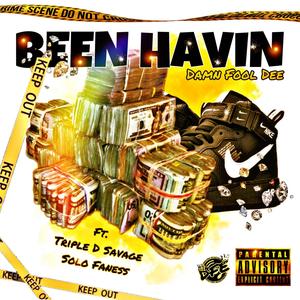 Been Havin (feat. Triple D Savage & Solo Faness) (Explicit)