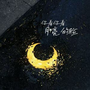 你看你看月亮的脸 (烟嗓女版)