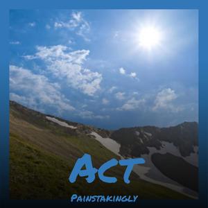 Act Painstakingly