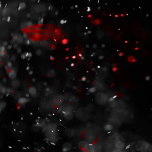 Anime Asgard (Explicit)