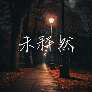 未释然 (破碎版)封面