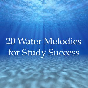 20 Water Melodies for Study Success - A Collection of the Best Rain, Ocean & Water Music for Ultimate Concentration, Deep Focus, Anxiety Relief and Stress Busting