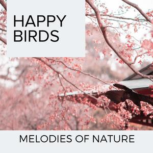 Steady Splashes over Woodland Forest