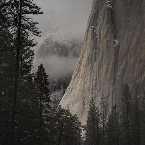 Venkatesam (feat. Moss Beynon Juckes)