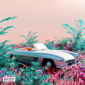 Bando (Explicit)