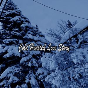 Cold Hearted Love Story (Explicit)