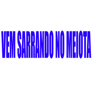 VEM SARRANDO NO MEIOTA (Explicit)