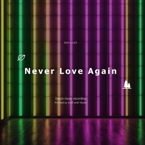 Never Love Again