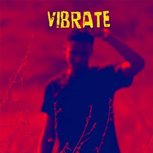 Vibrate (feat. Kryptnn) [Explicit]