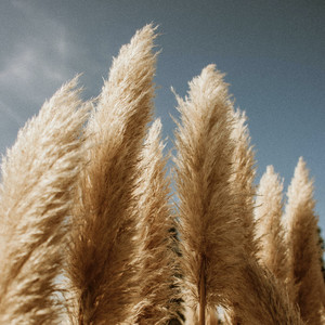 You Hold On (You Don't Let Go)